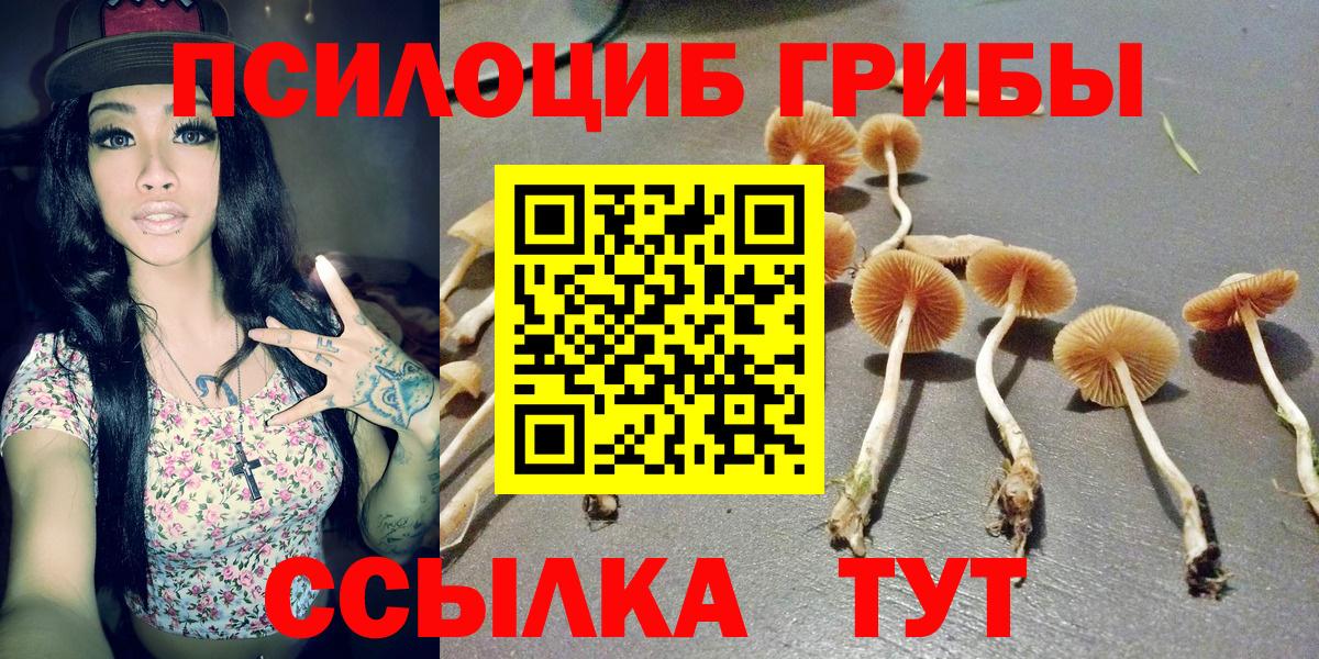 Галлюциногенные грибы Magic Shrooms  Вход с VPN  Псилоцибиновые грибы мицелий  купить наркотик  Лениногорск 