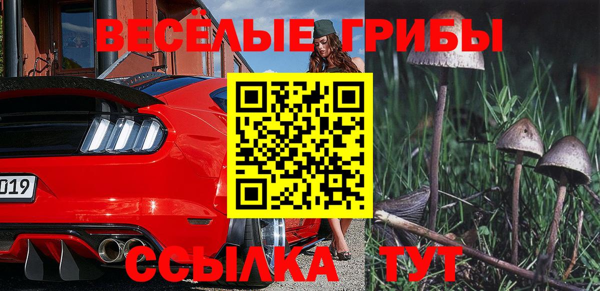 КОКАИН  А ПВП СОЛЬ   Мефедрон кристаллы  Лениногорск  Лсд 25  АМФ кристаллы  Метамфетамин  Вход с VPN  МАРИХУАНА  ГАШ 